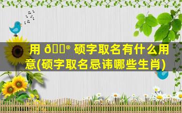 用 💮 硕字取名有什么用意(硕字取名忌讳哪些生肖)